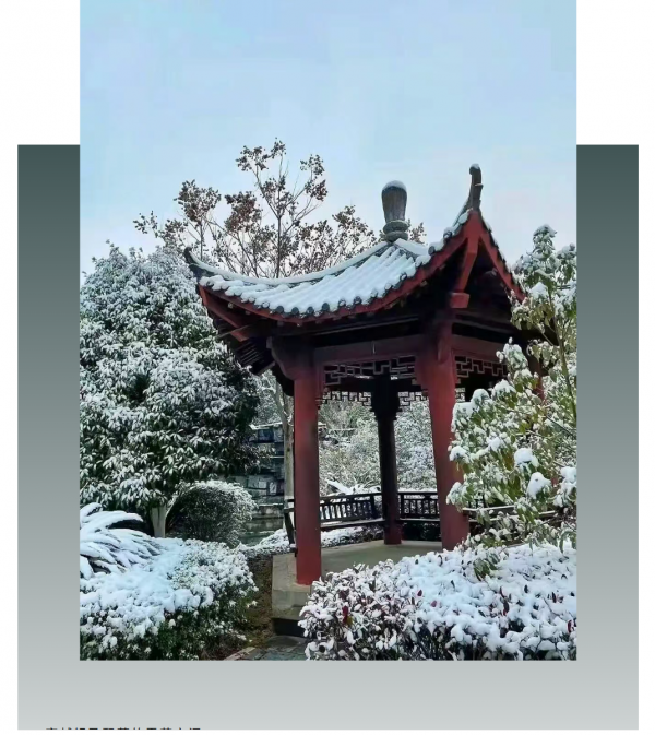 28.png