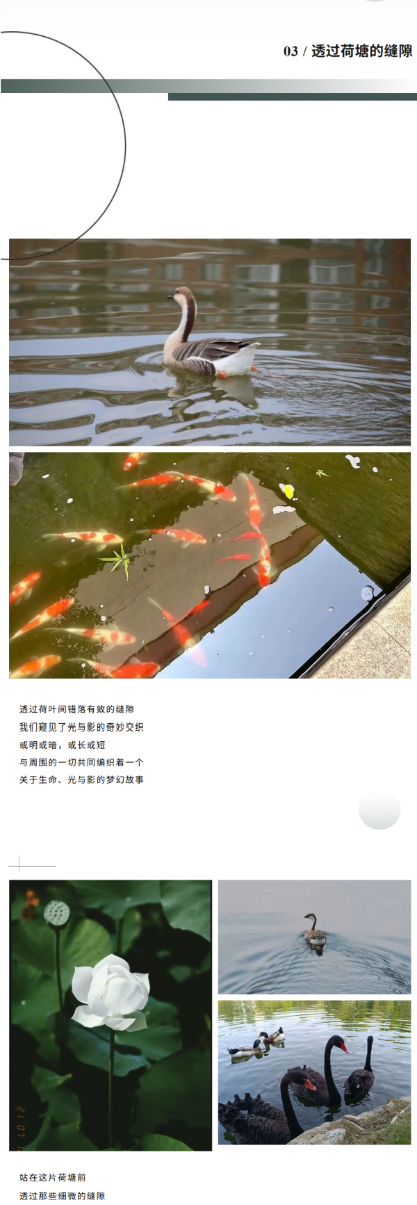 24.png